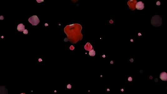 透明通道唯美的花瓣雨视频素材视频的预览图