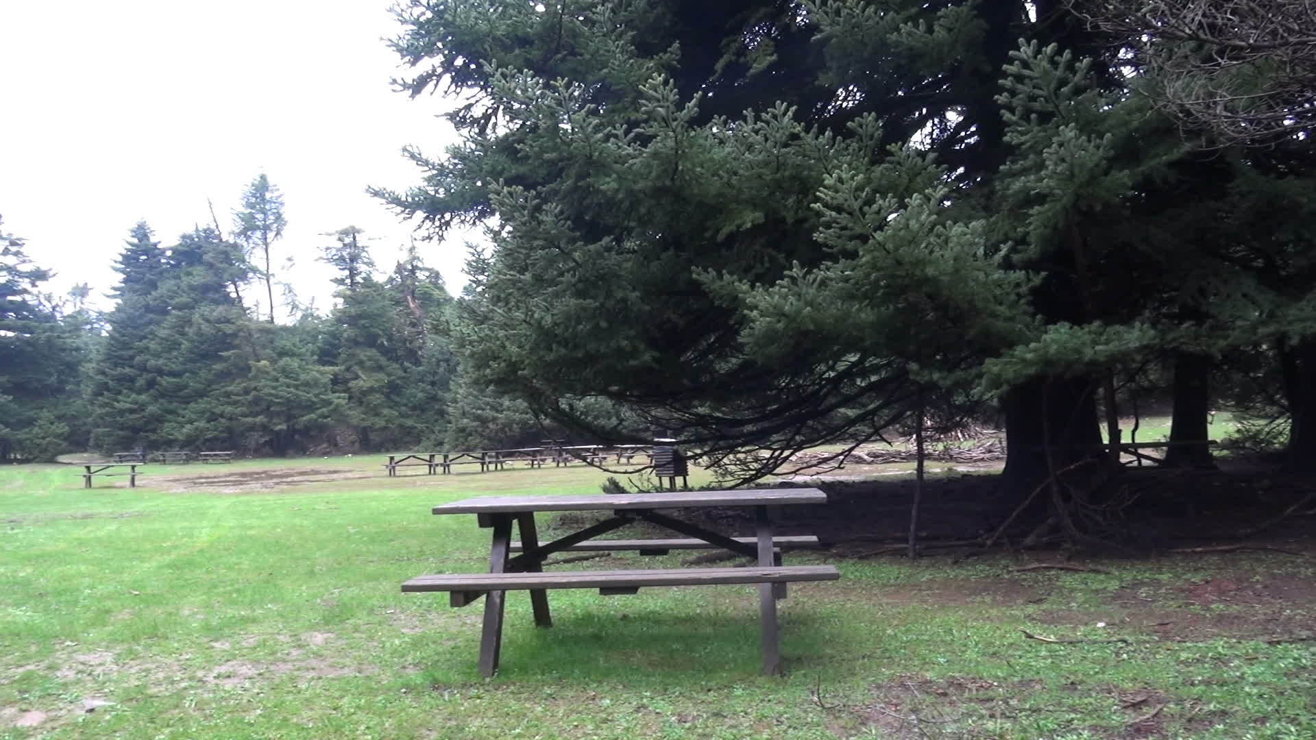 长凳在树林里视频的预览图