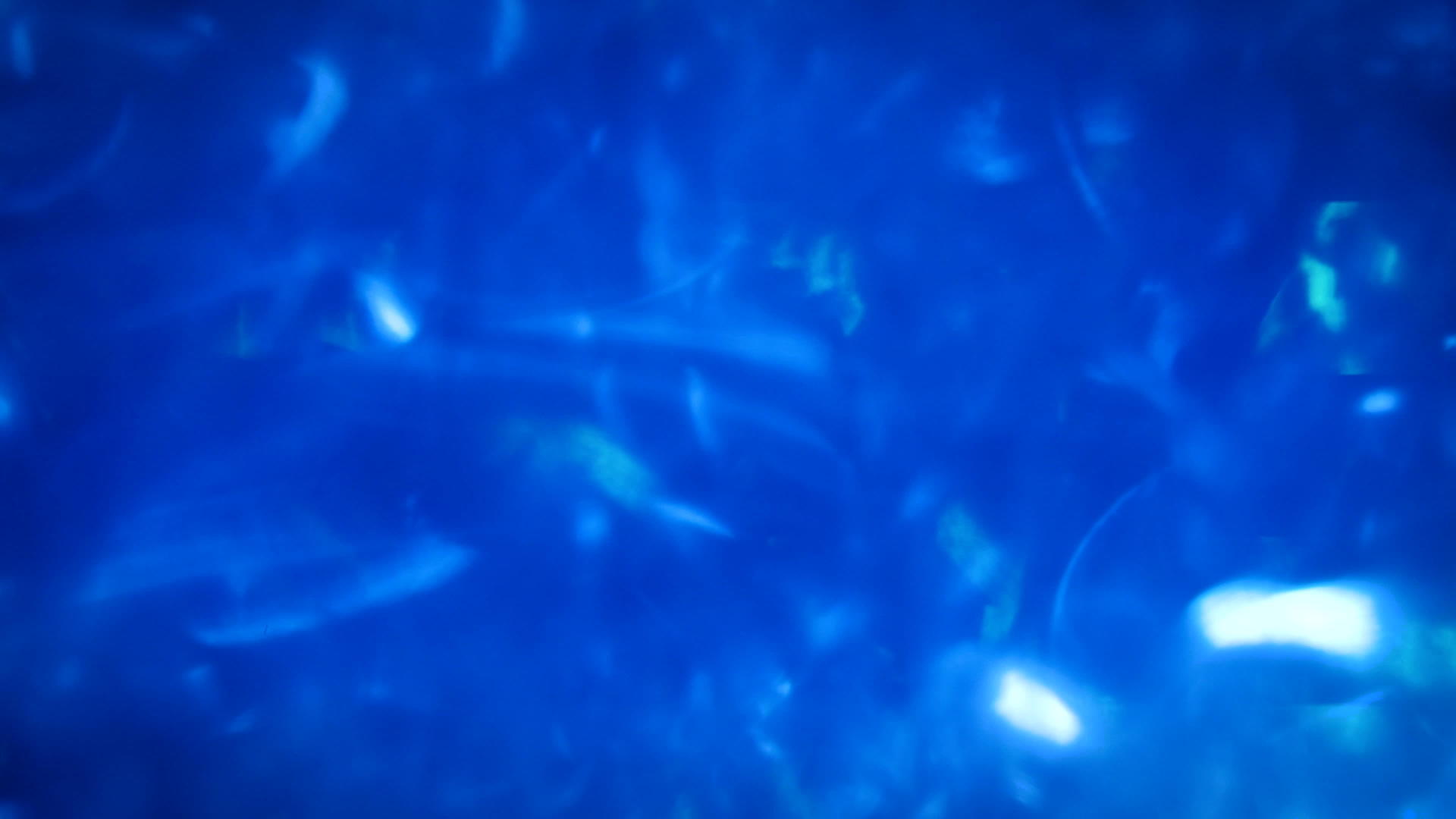 原子和离子运动的背景视频的预览图