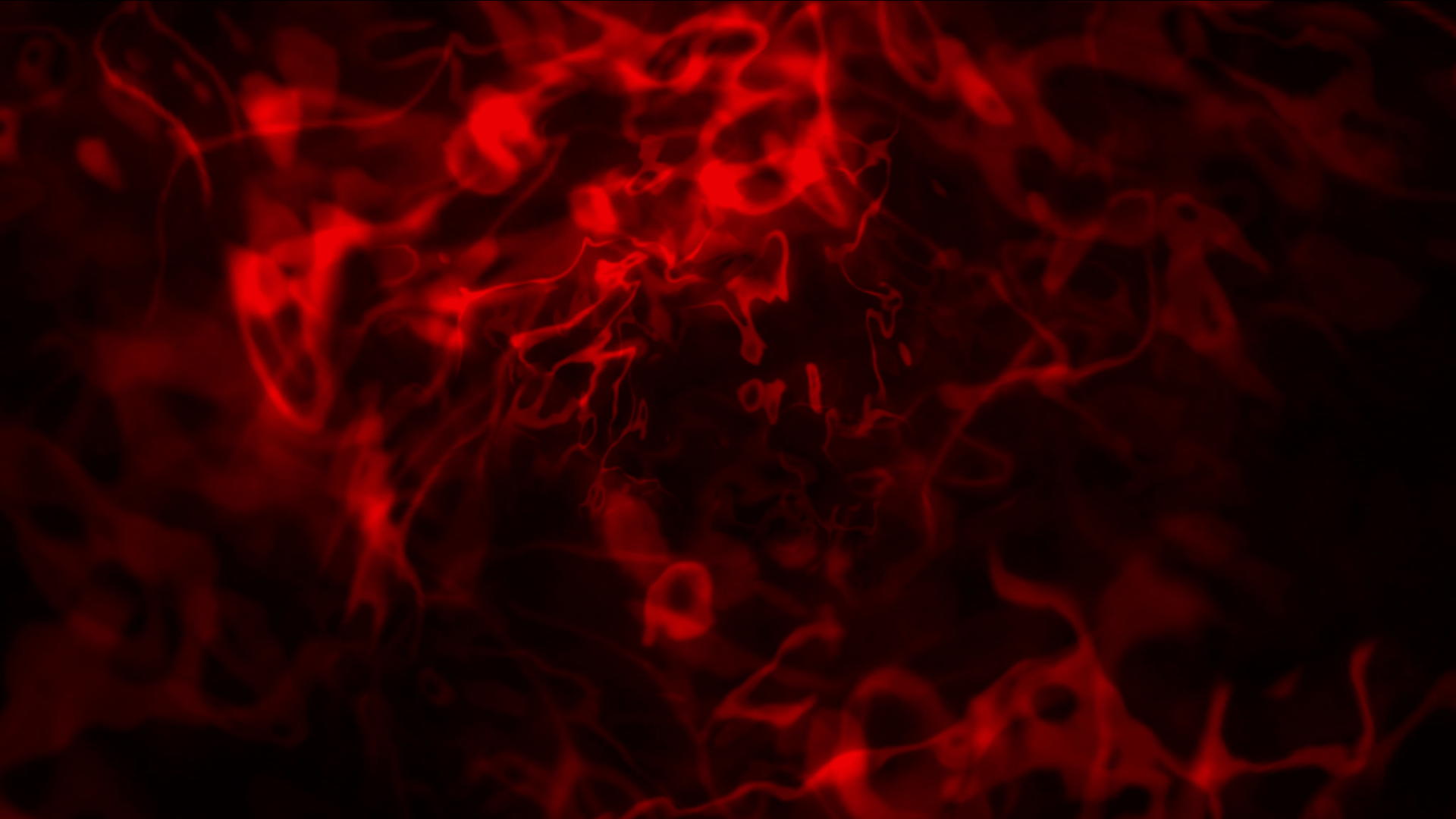 液体抽象运动红色4k视频的预览图