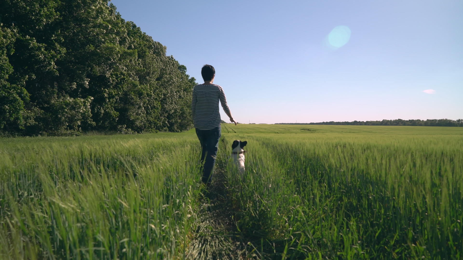 女人和法国斗牛犬在野外散步视频的预览图