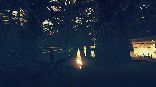 面对明朝太阳的黑暗沼泽林4k视频的预览图