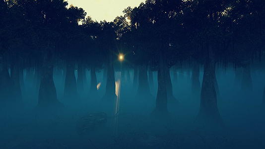 相机飞过黑暗的森林雾笼罩在明天飞向4000天视频的预览图