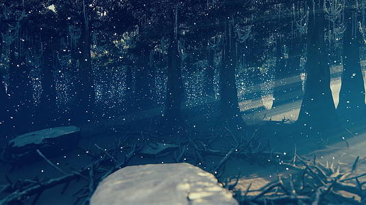 冬天相机穿过黑暗的森林飞向明亮的太阳视频的预览图