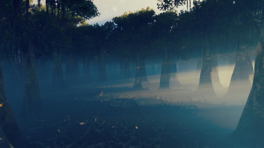 摄像机飞过笼罩在4公里雾中的黑暗森林视频的预览图