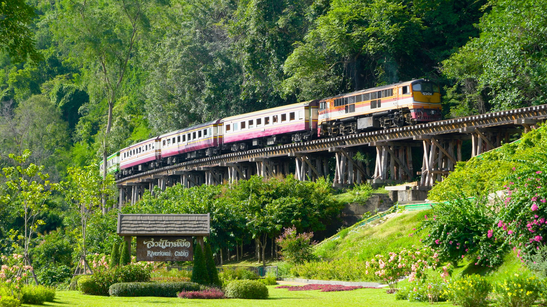 火车在泰国桂河死亡铁路上缓慢行驶4K视频的预览图