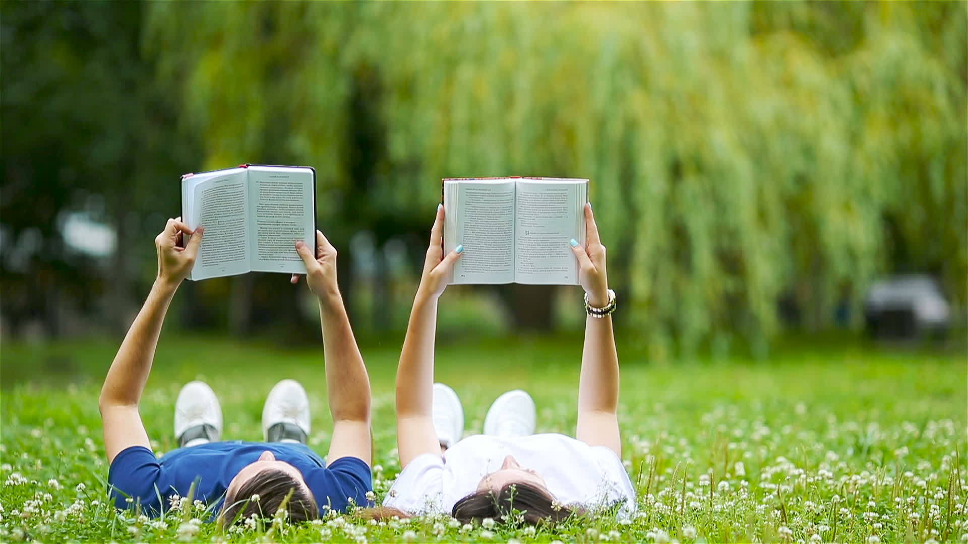 年轻轻松的夫妇躺在草地上看书视频的预览图