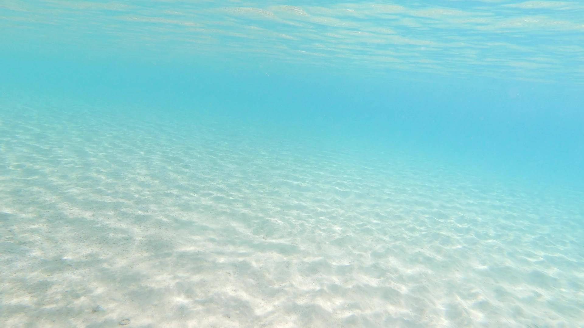 海滩上透明的蓝水视频的预览图