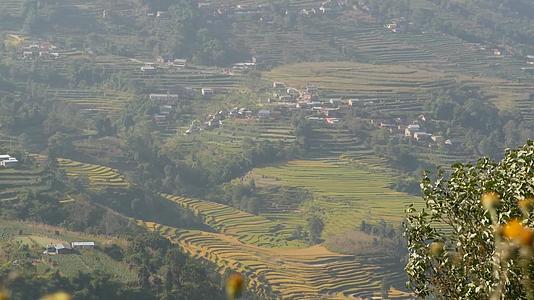 乡村大米梯田的风景Napalnagarkot阳光下视频的预览图
