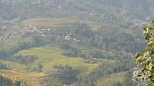 乡村大米梯田的风景Napalnagarkot阳光下视频的预览图