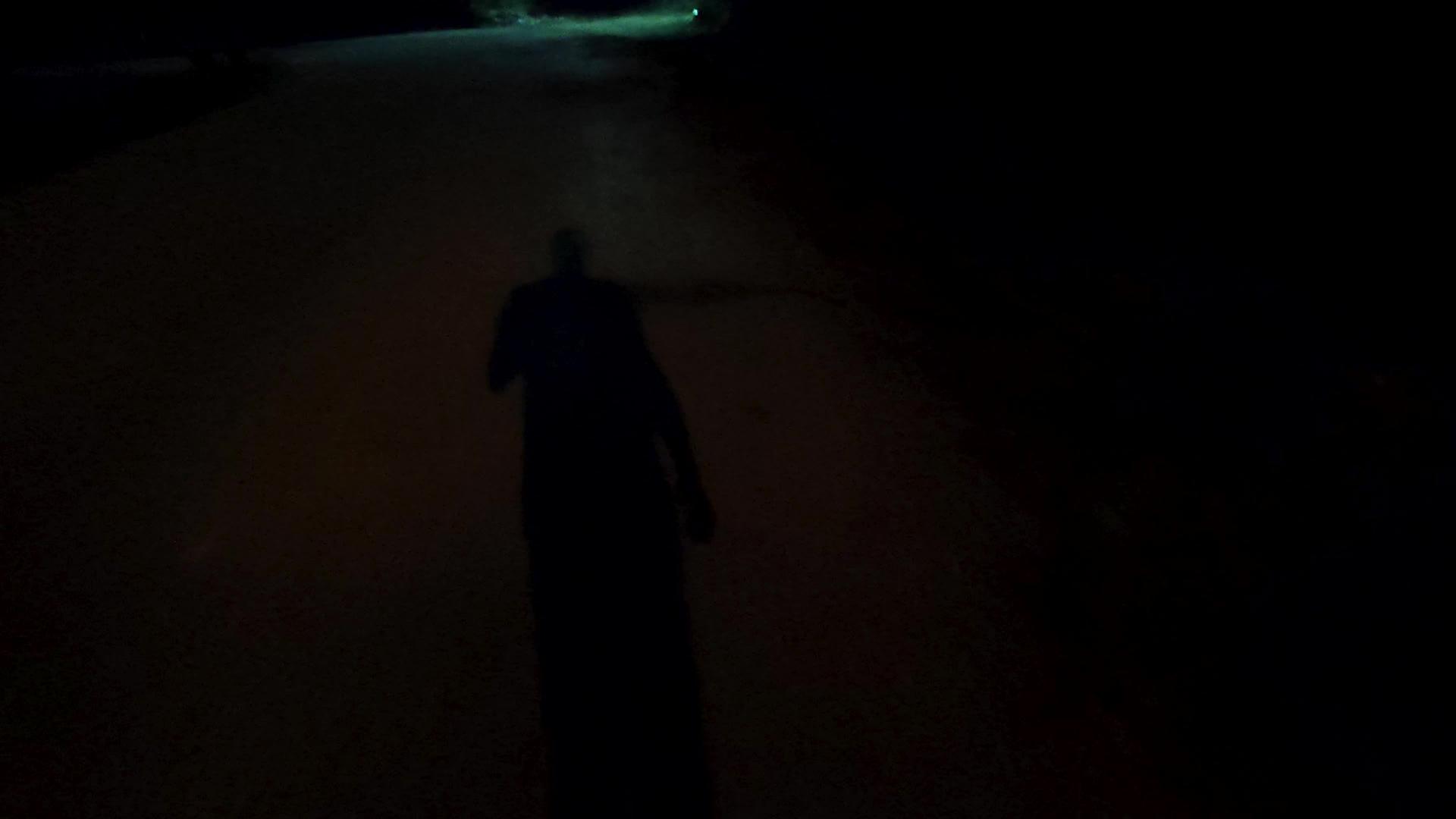 影子行走者视频的预览图