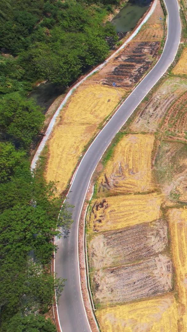 新农村航拍丰收季节村庄农田稻田素材视频的预览图