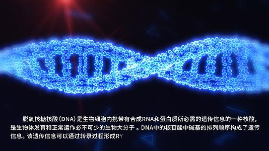 AE模板视频DNA动画视频的预览图