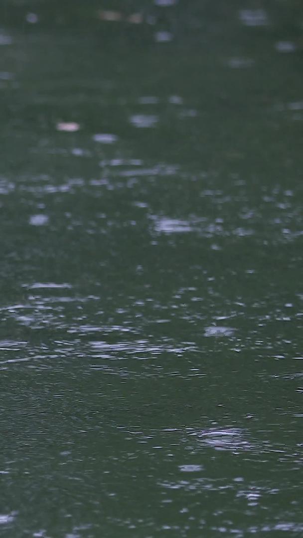 拍摄春雨滴落在湖面上视频的预览图