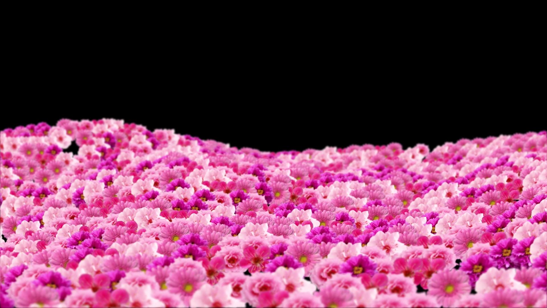 花海唯美背景素材视频的预览图
