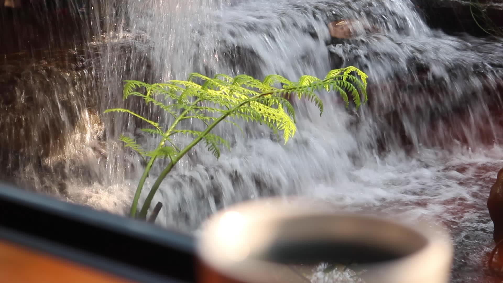 早上在瀑布花园的风景中一杯咖啡拿铁视频的预览图
