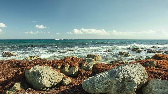 墨西哥马雅里维埃拉的岩石海岸视频的预览图