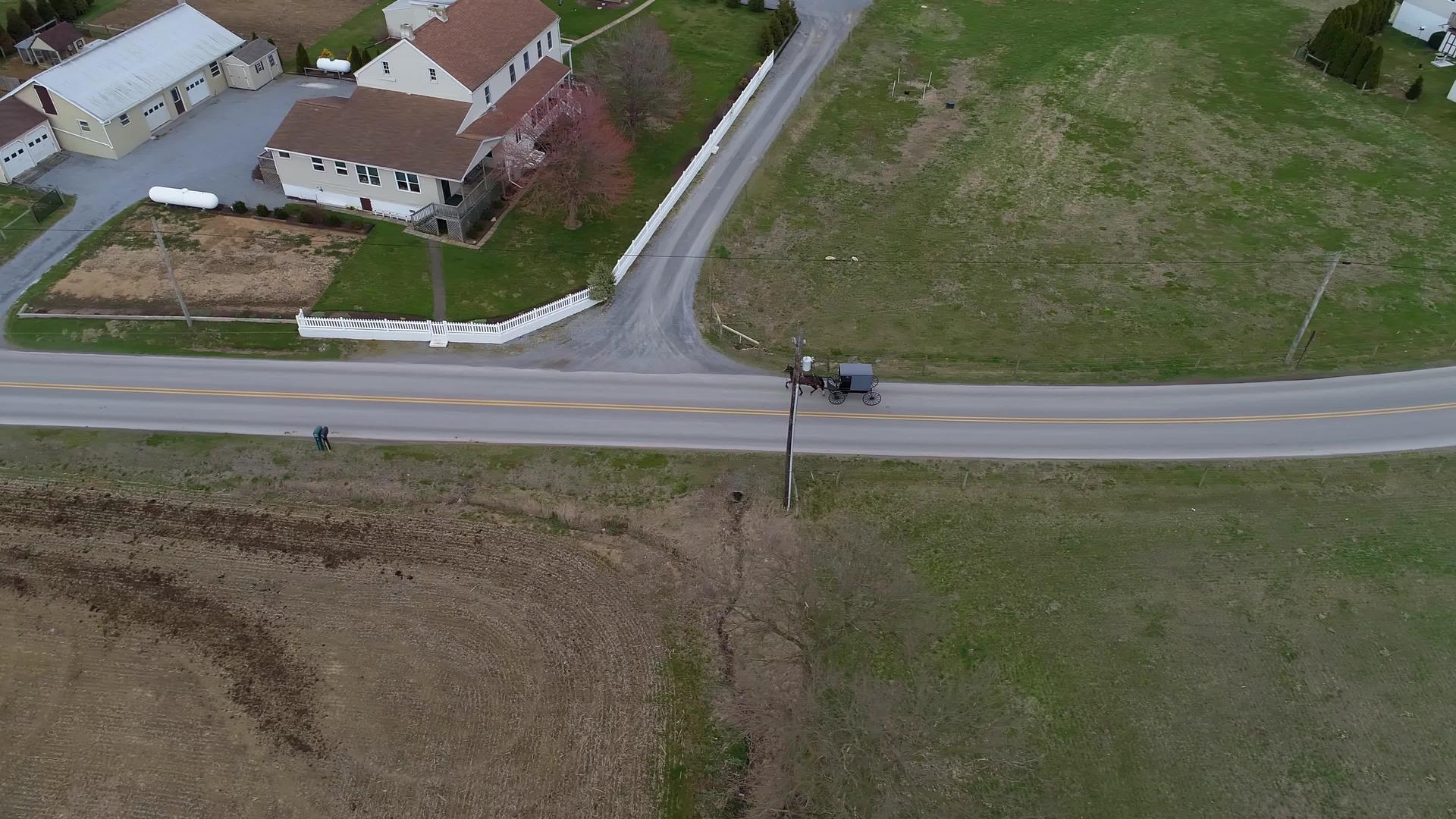 沿途经Amish乡村公路骑着阿拉伯马和虫马视频的预览图