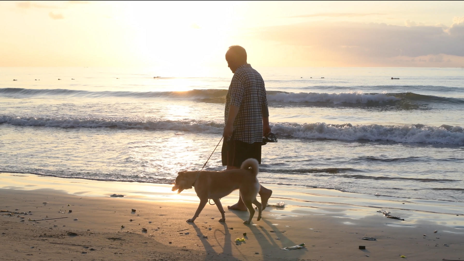 4K海边遛狗的老人视频的预览图