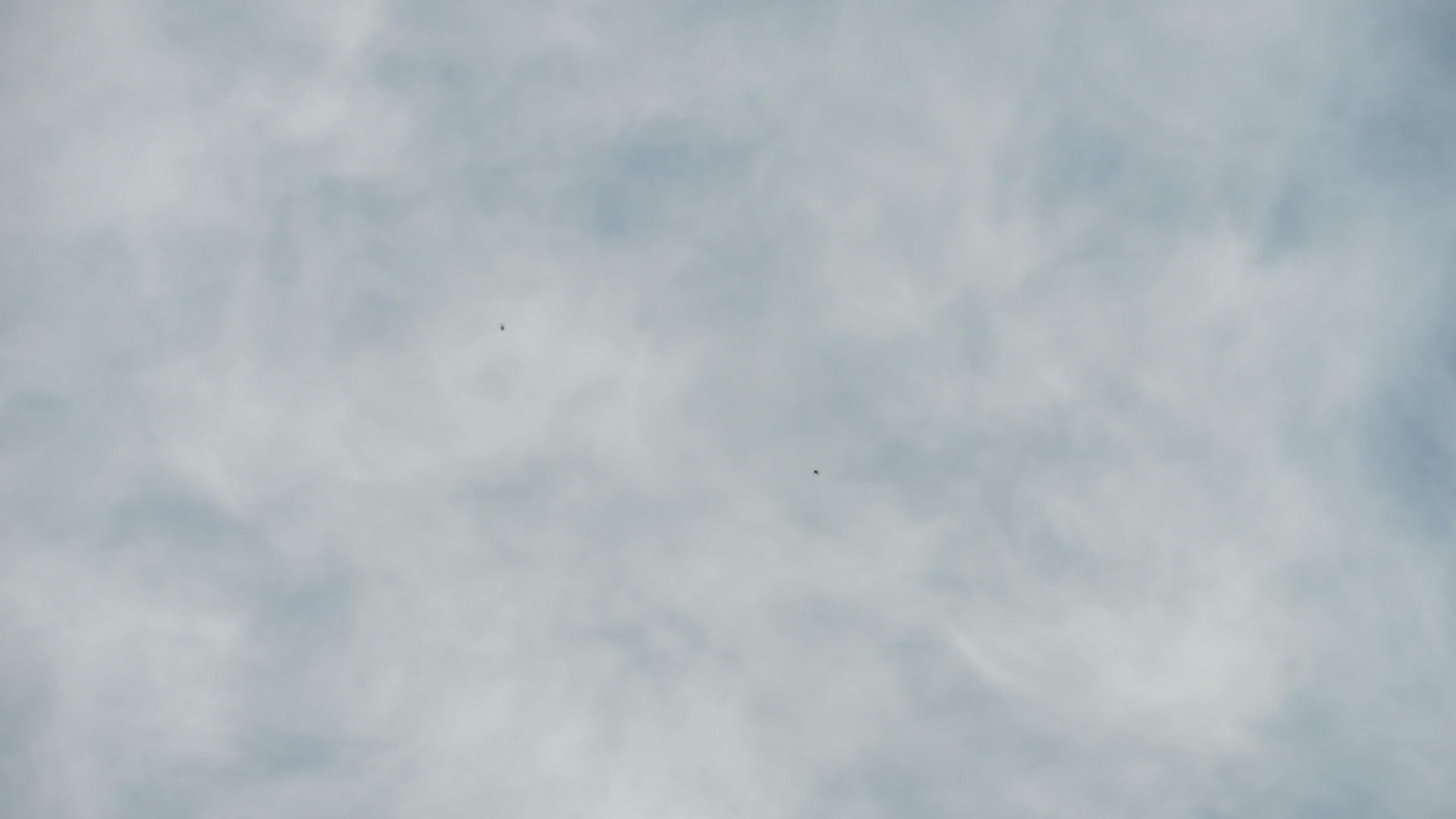 自由飞行的伞兵视频的预览图