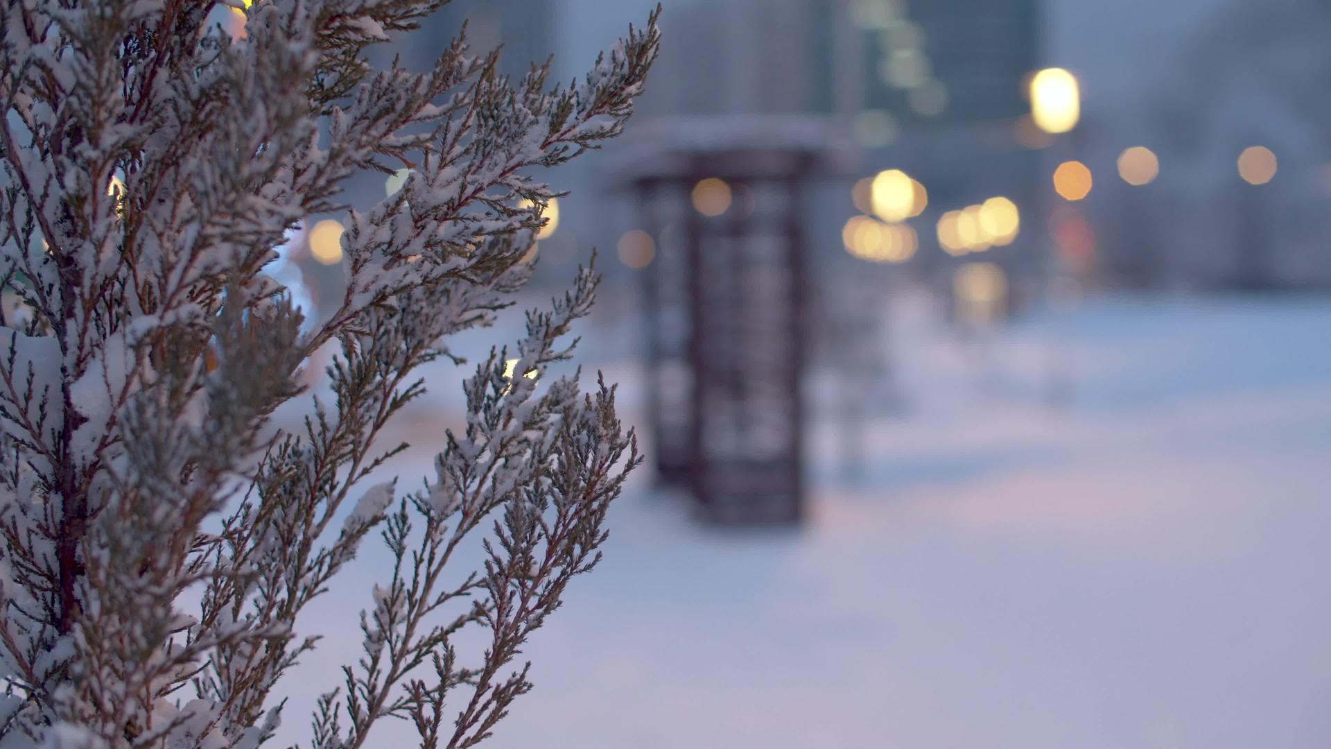 冬夜在城市公园的寒冬之夜视频的预览图