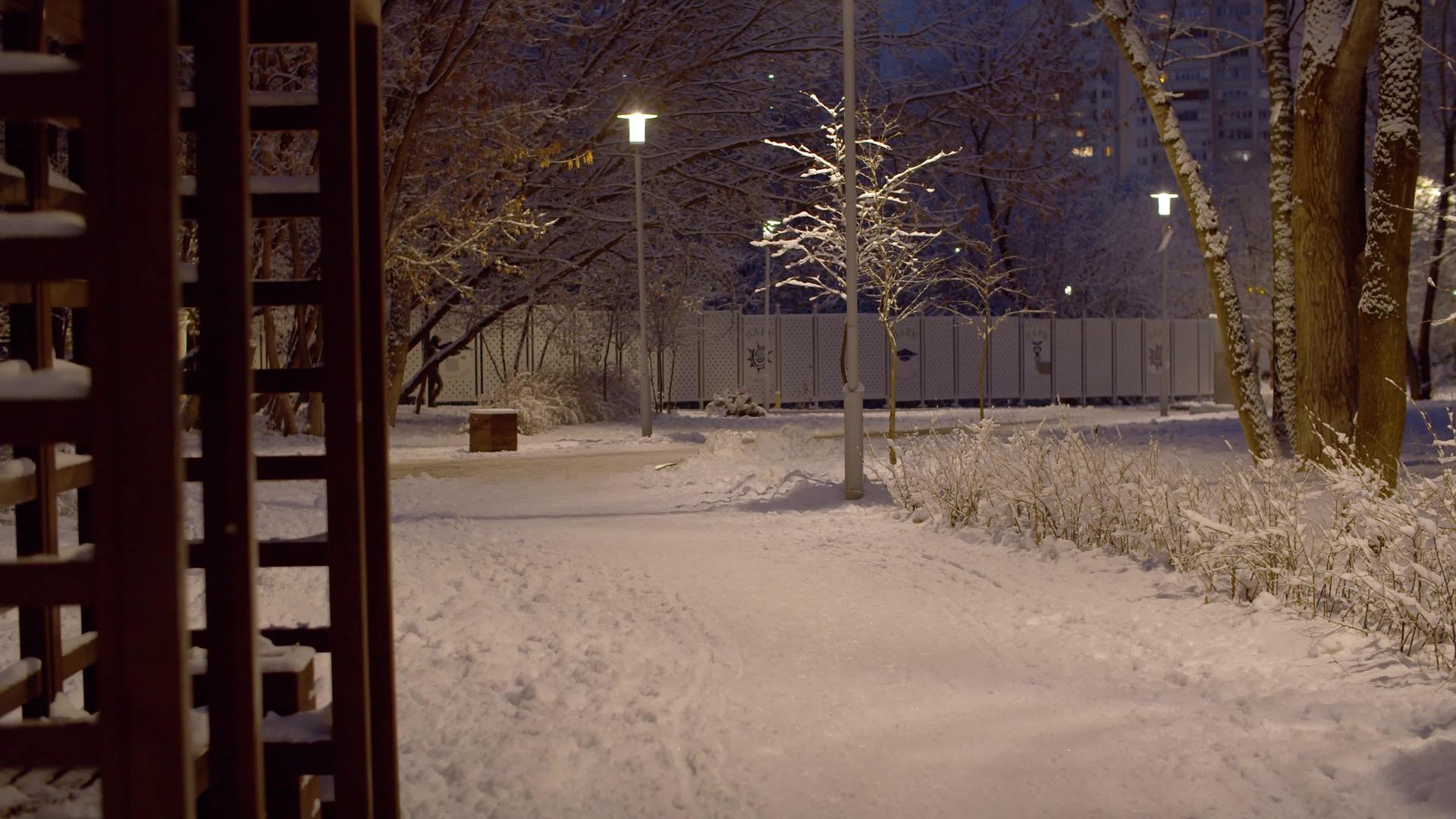 城市公园里晚上下雪视频的预览图