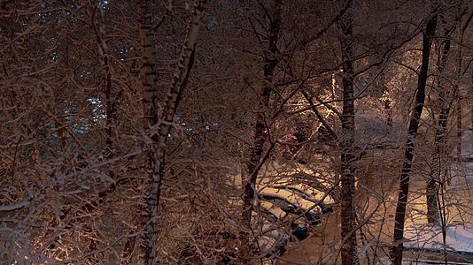 雪花被路灯照亮覆盖在树上视频的预览图