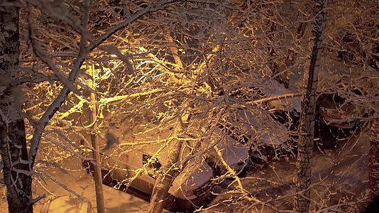雪花被路灯照亮覆盖在树上视频的预览图