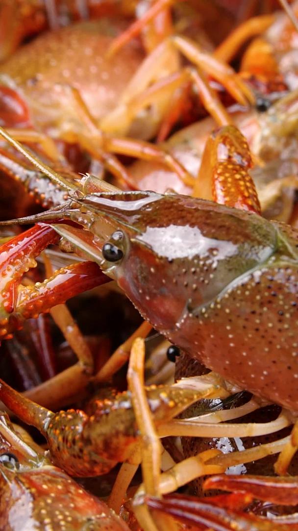 小龙虾虾鲜虾配料视频的预览图