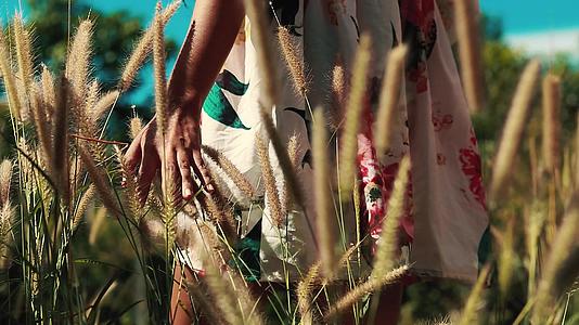 一个穿着花椰裙的女人在高草丛中的概念视频视频的预览图