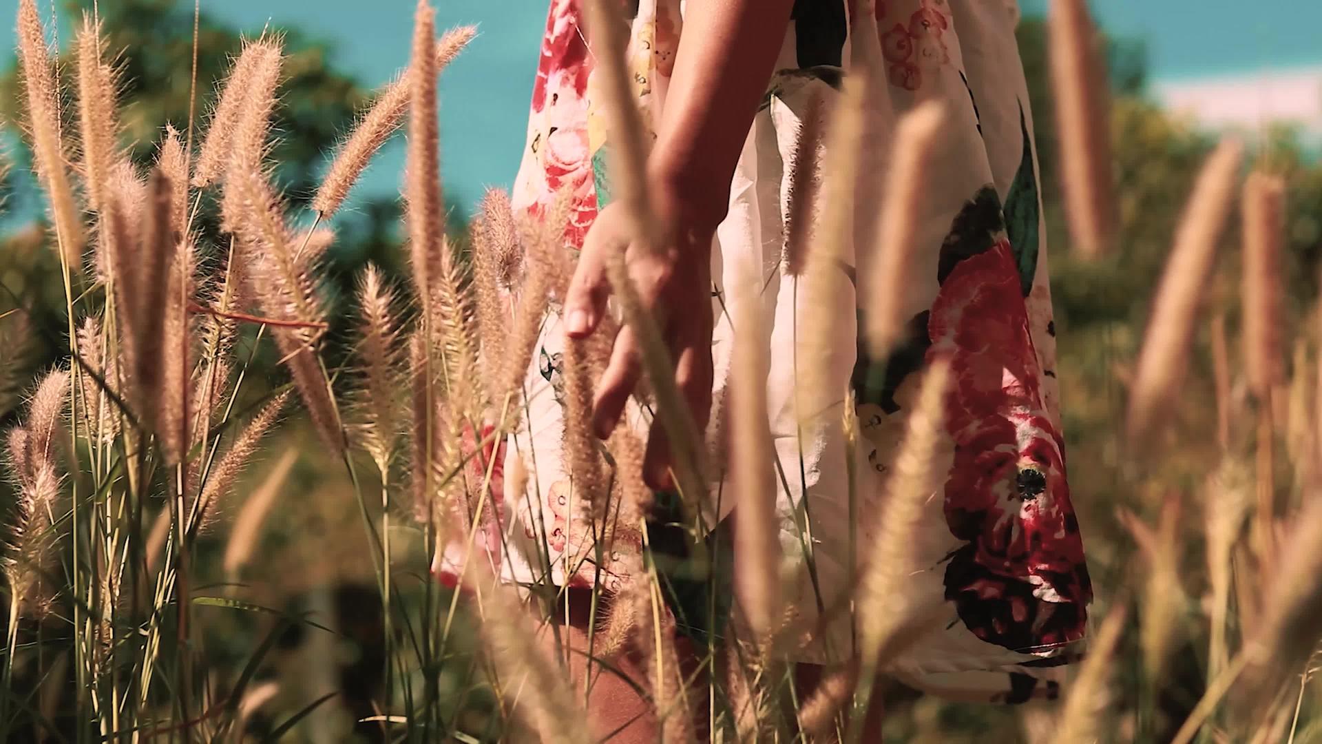 一个穿着花椰裙的女人在高草丛中的概念视频视频的预览图