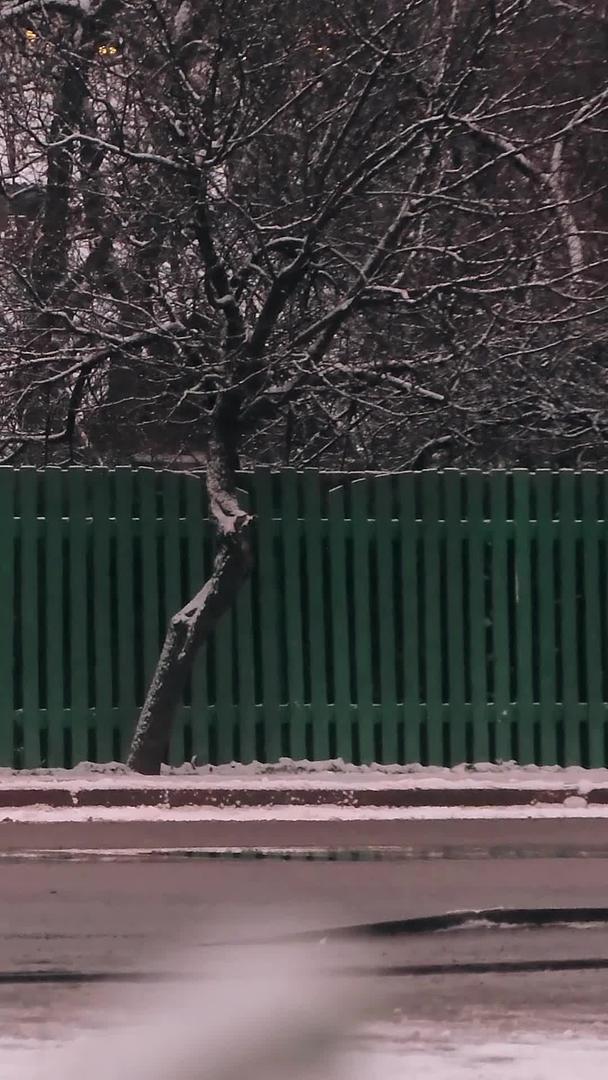 冬季下雪晚上下班回家的人视频的预览图