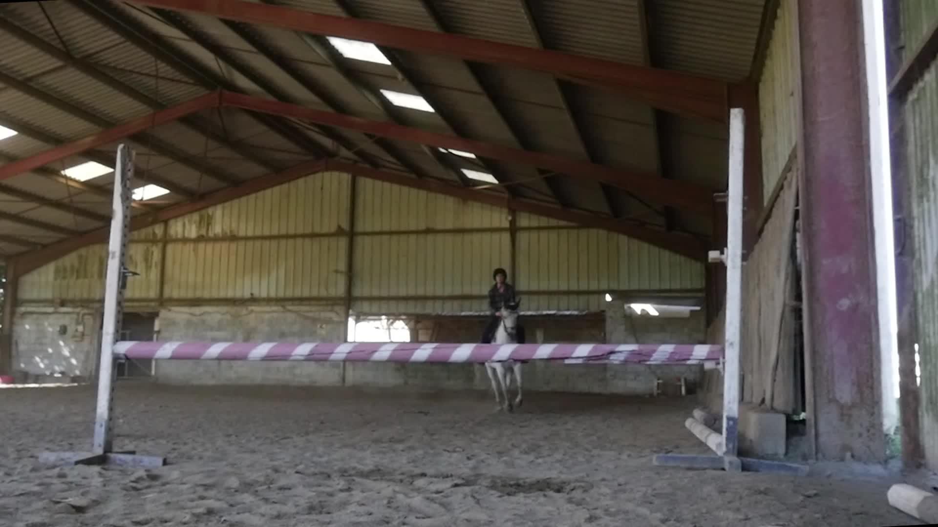年轻的骑马女孩跳过障碍视频的预览图