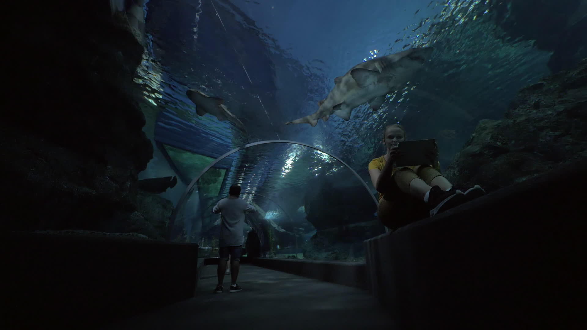 在水下水族馆的隧道里女性用垫子拍照视频的预览图