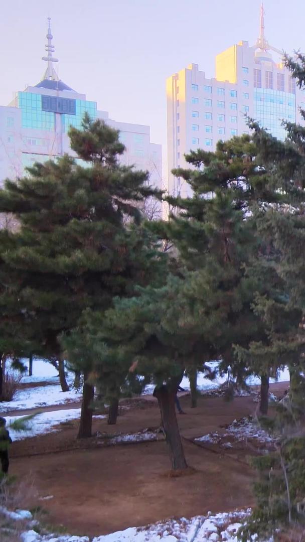 唯美航拍沈阳盛京城彩电塔冬季雪景视频的预览图
