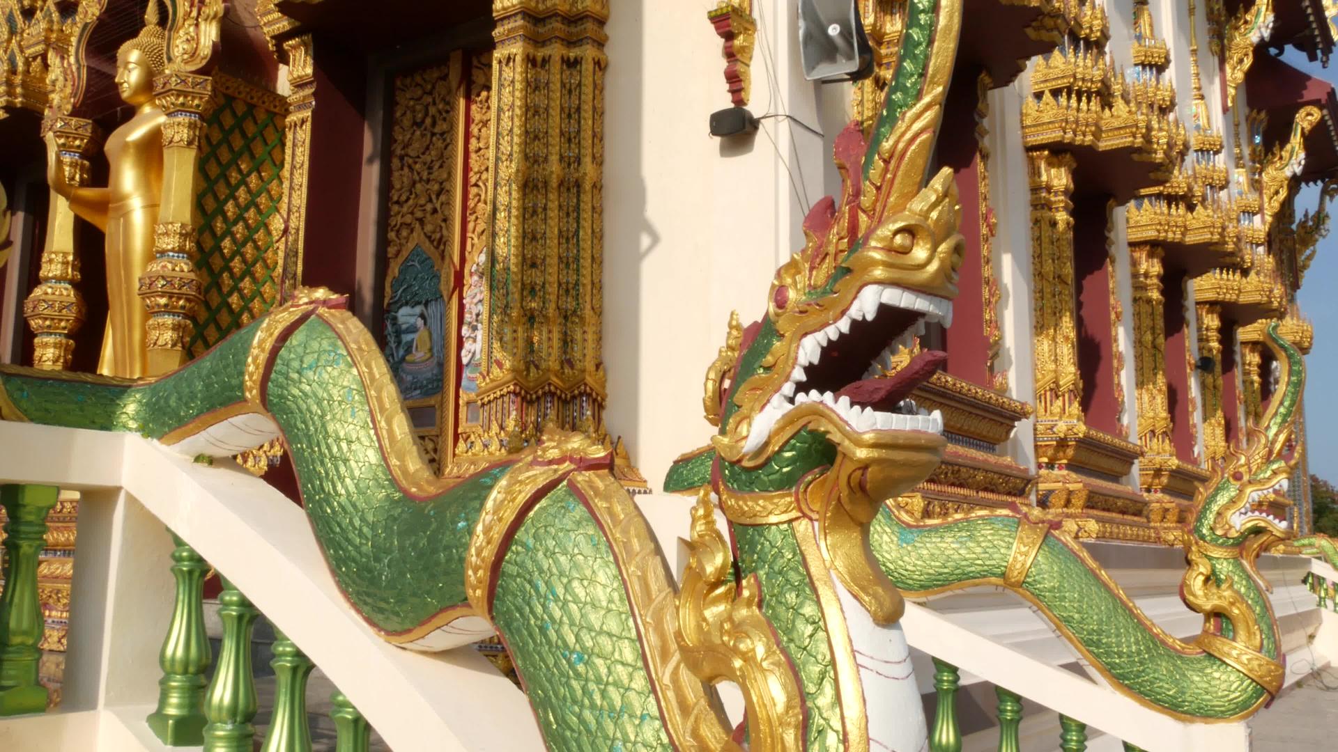 在阳光明媚的日子里东方寺庙院子里的绿龙位于传统的传统视频的预览图