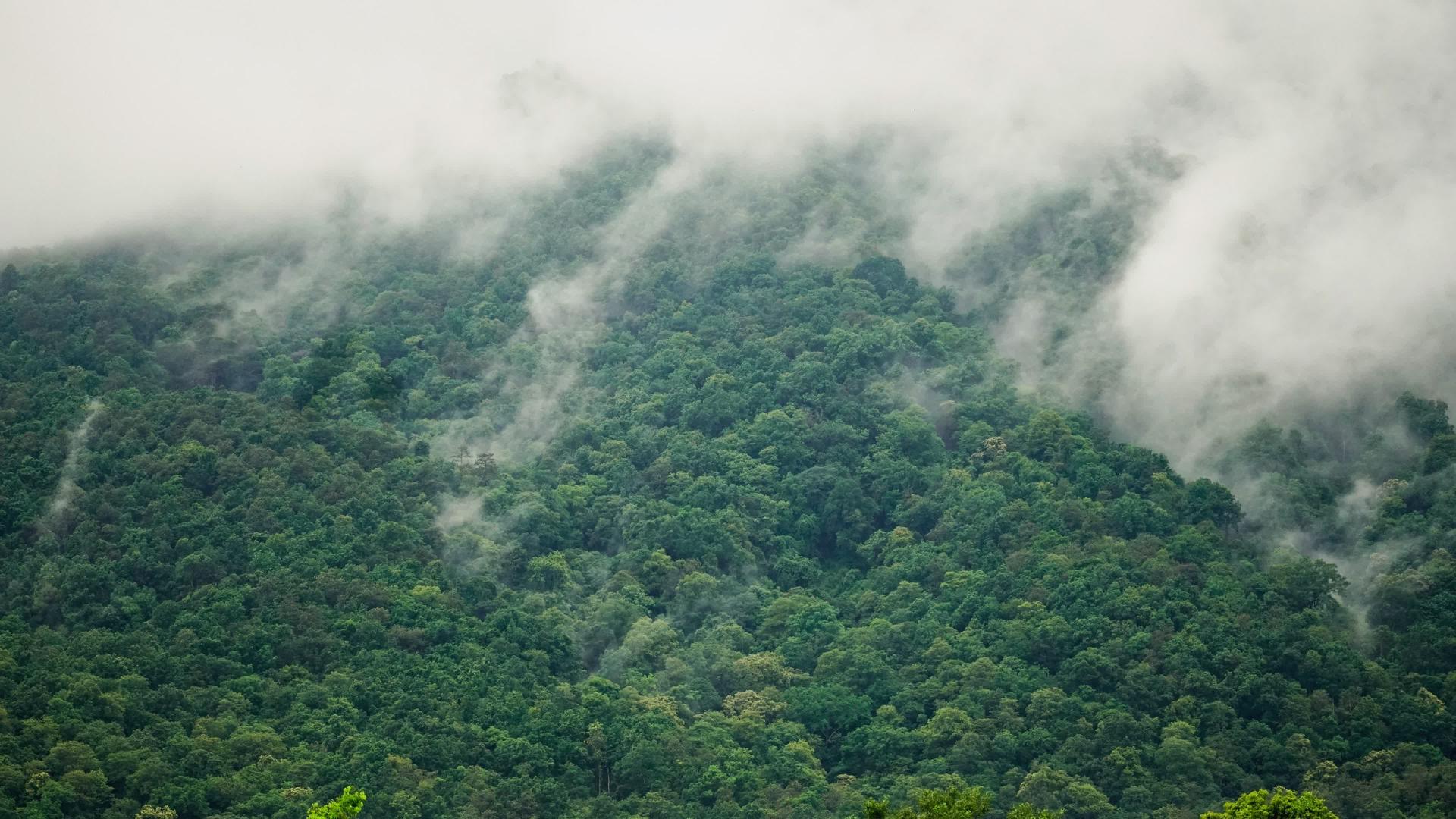 雨季雨云覆盖热带森林山大马奇昂泰河流域视频的预览图