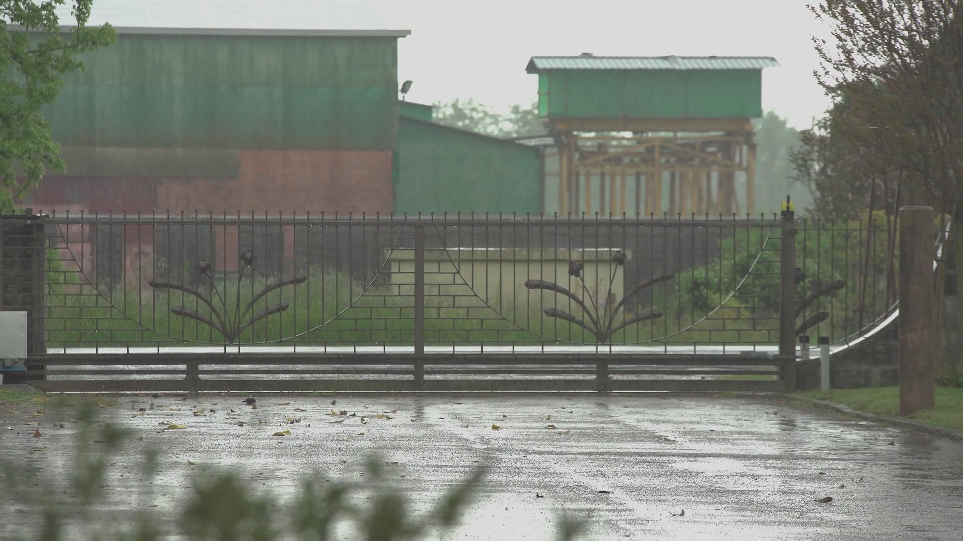 郊区的雨水中下雨视频的预览图