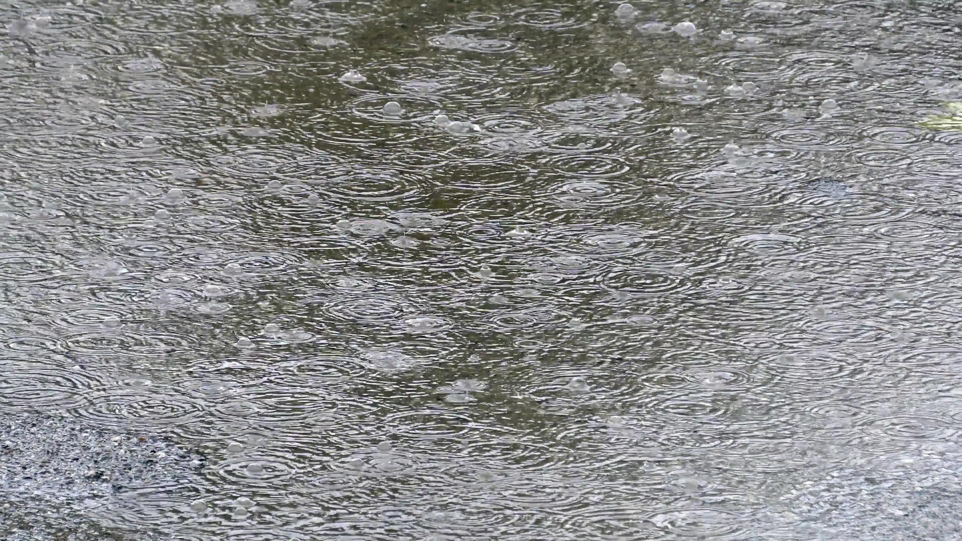 雨滴在水上的背景环视频的预览图