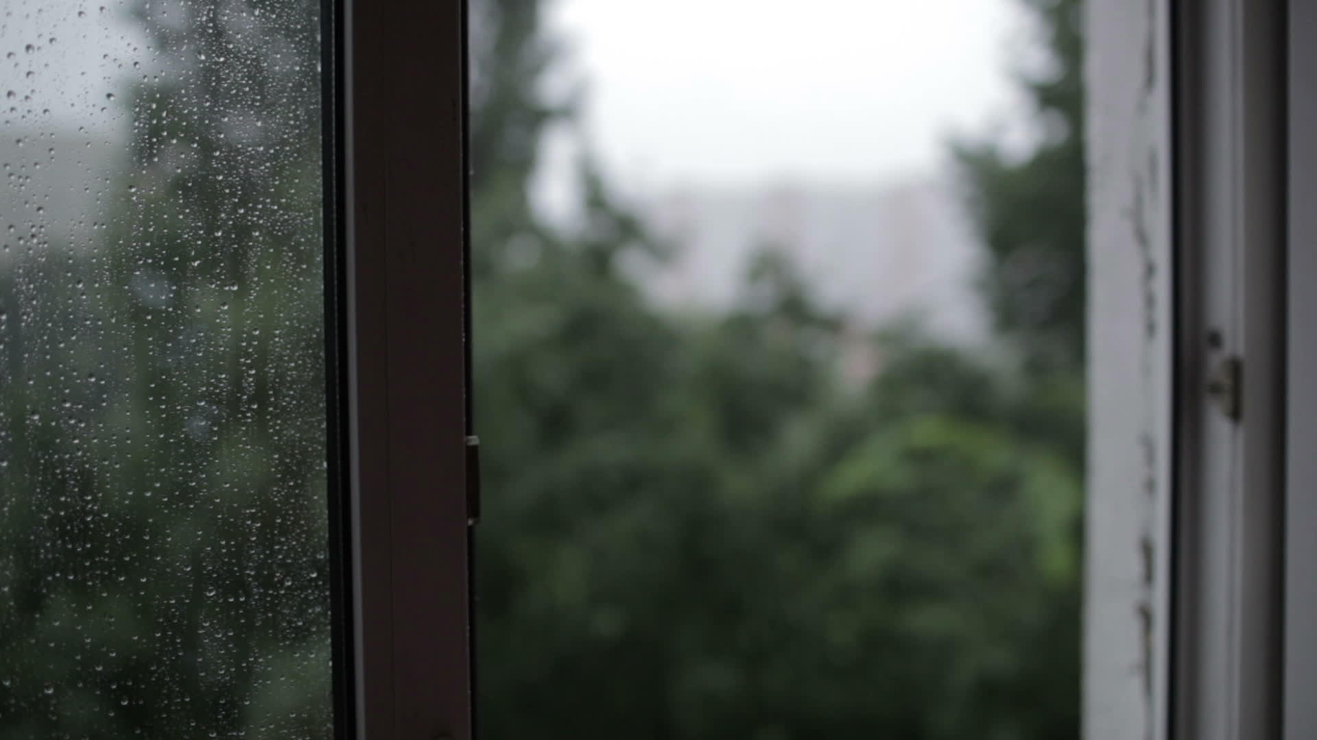 从窗户向建筑倾斜的重雨点视频的预览图