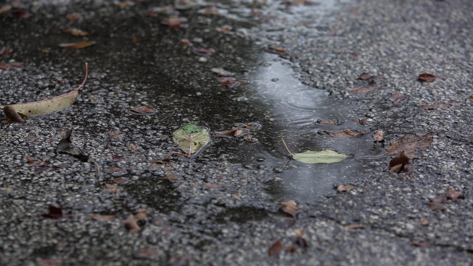 沥青上的雨滴视频的预览图