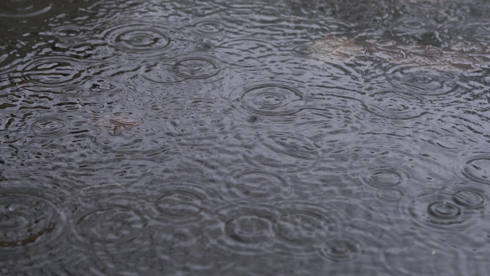 雨水滴落在池塘关闭中视频的预览图