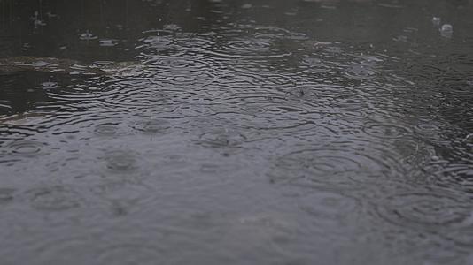 雨水滴落在池塘关闭中视频的预览图