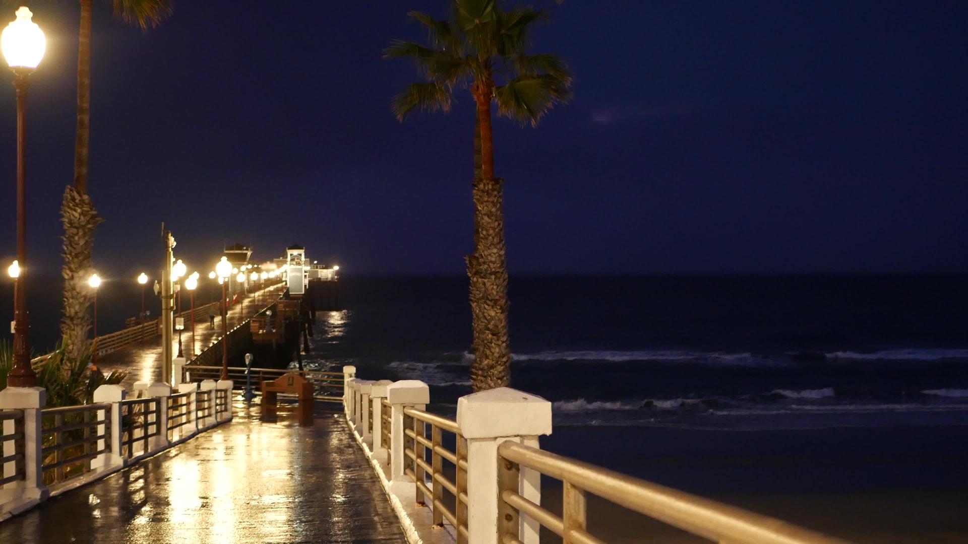 晚上海边在海边的卡利弗尼亚岛码头黄昏的棕榈树灯视频的预览图