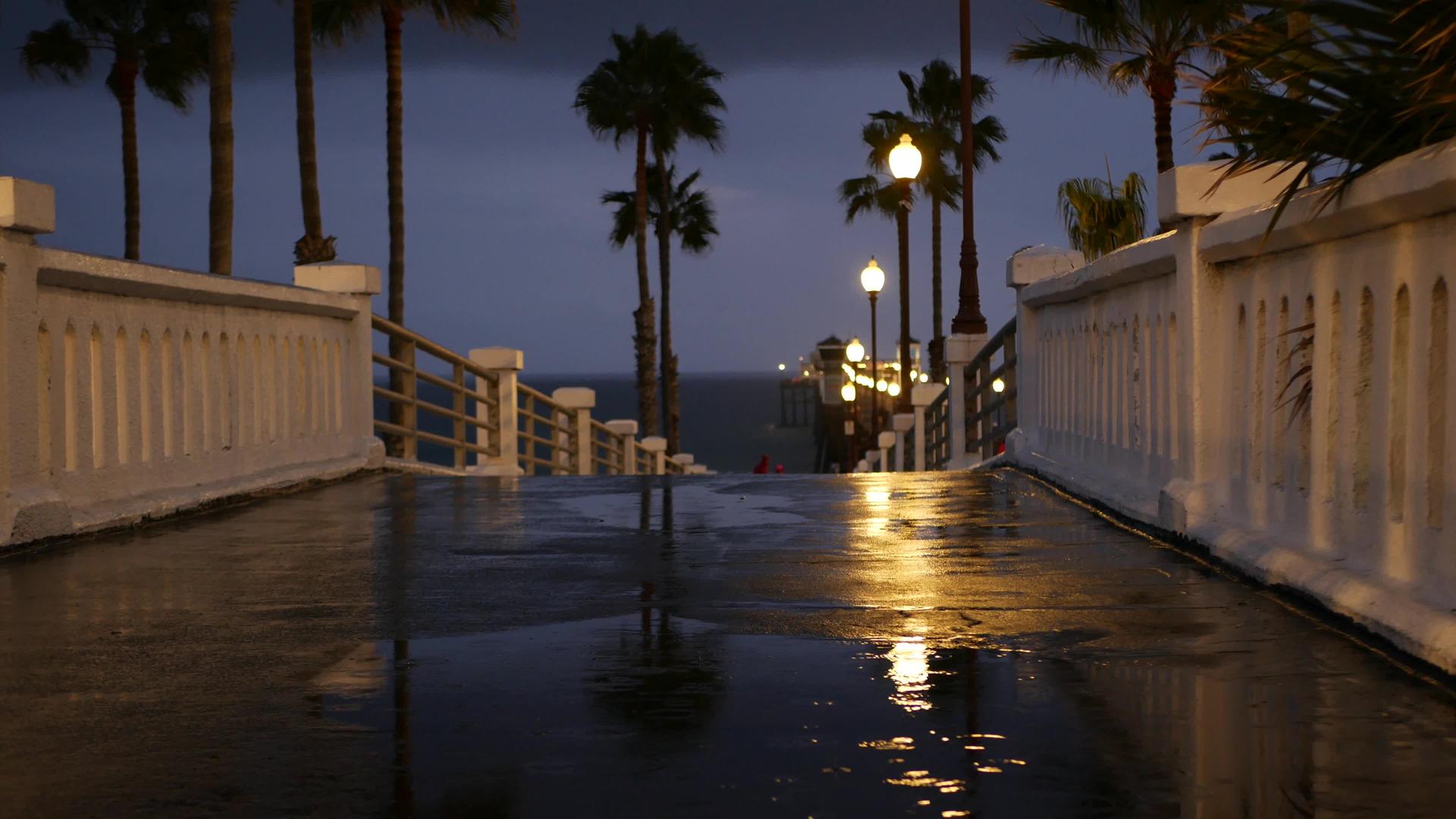 晚上海边在海边的卡利弗尼亚岛码头黄昏的棕榈树灯视频的预览图
