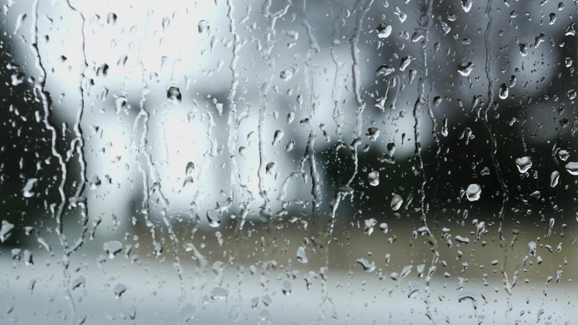 窗口上的雨视频的预览图