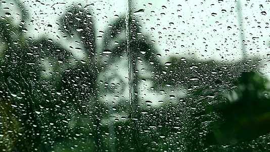 雨滴在车的镜子和公园的模糊树上视频的预览图