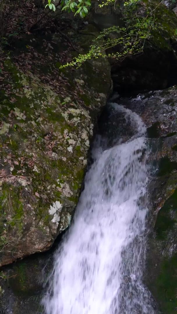 丽水龙泉山瀑布实拍集合视频的预览图