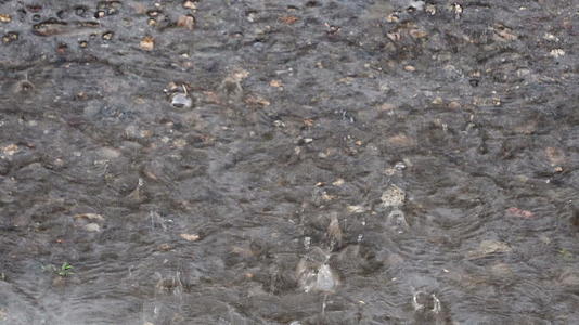 雨滴落在沥青路面上视频的预览图