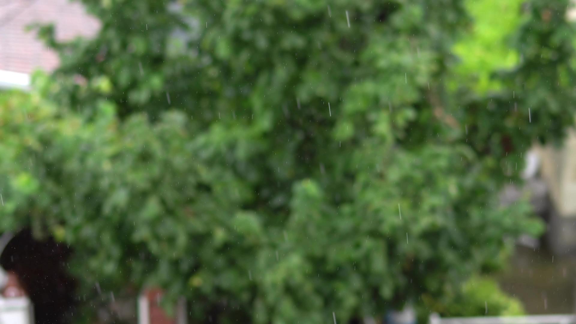 雨滴循环拍摄的背景模糊视频的预览图